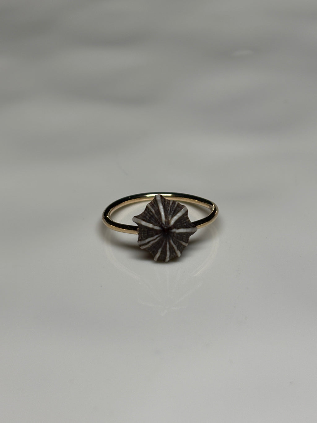'Opihi 'awa ring