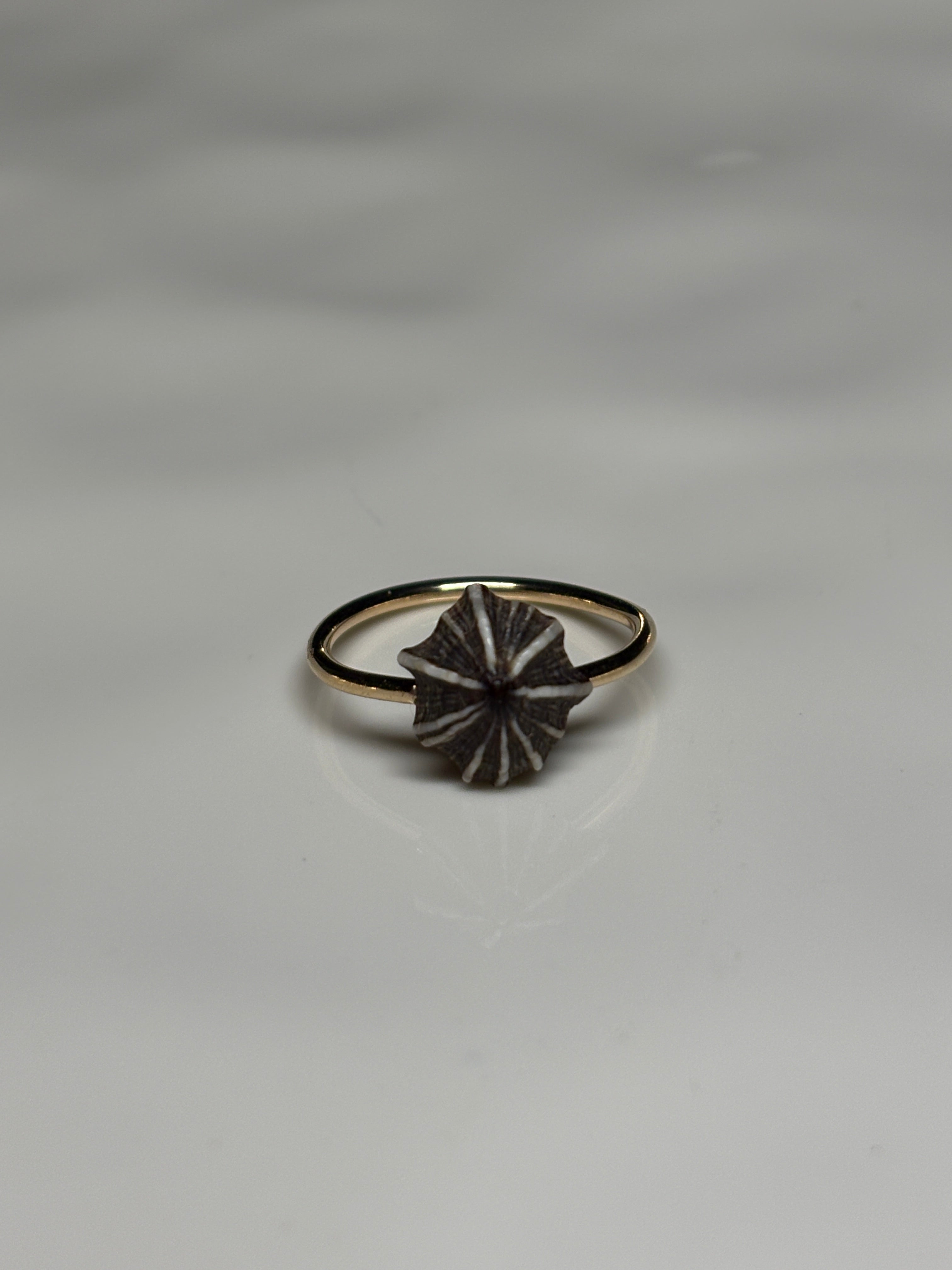 'Opihi 'awa ring
