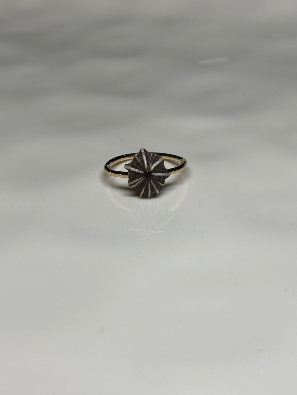 'Opihi 'awa ring