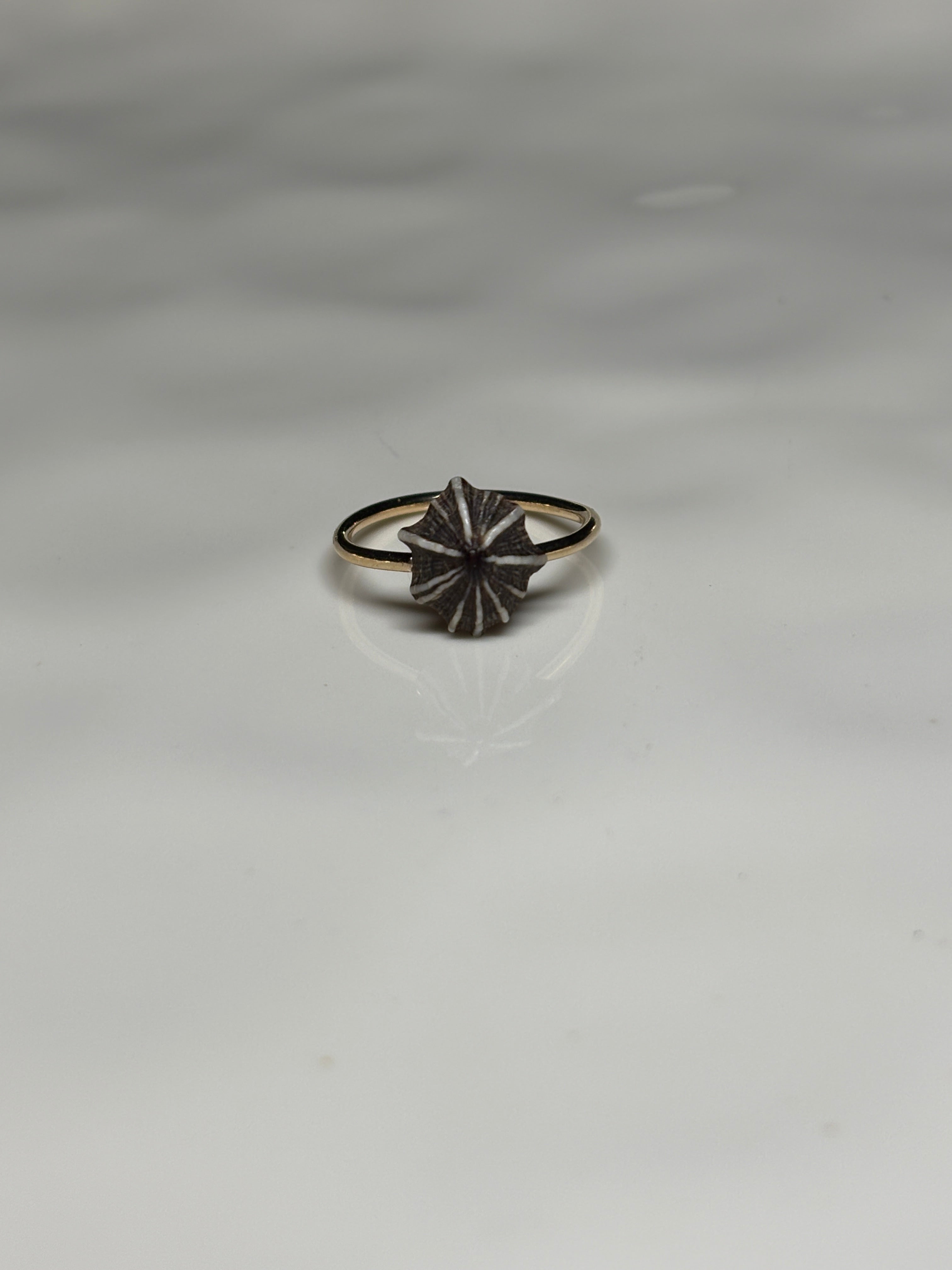 'Opihi 'awa ring