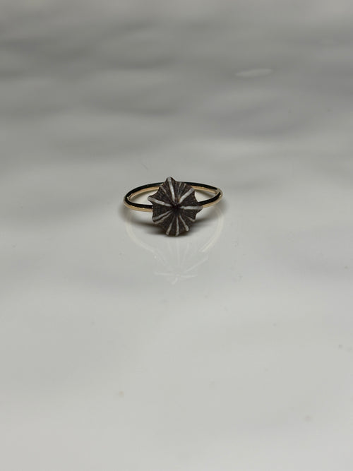 'Opihi 'awa ring