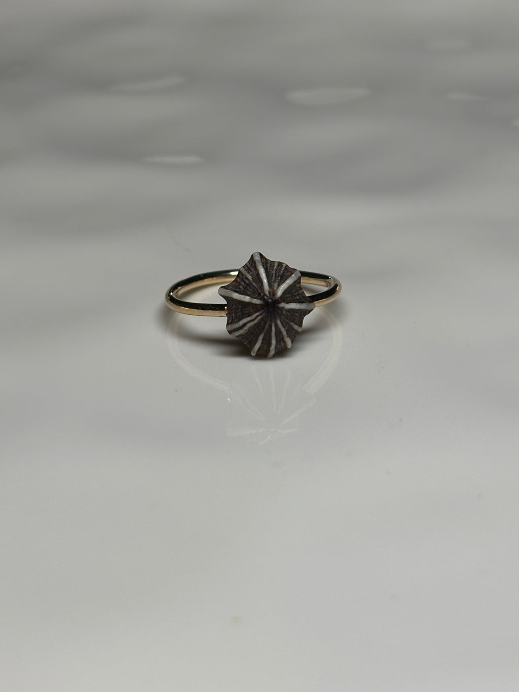 'Opihi 'awa ring