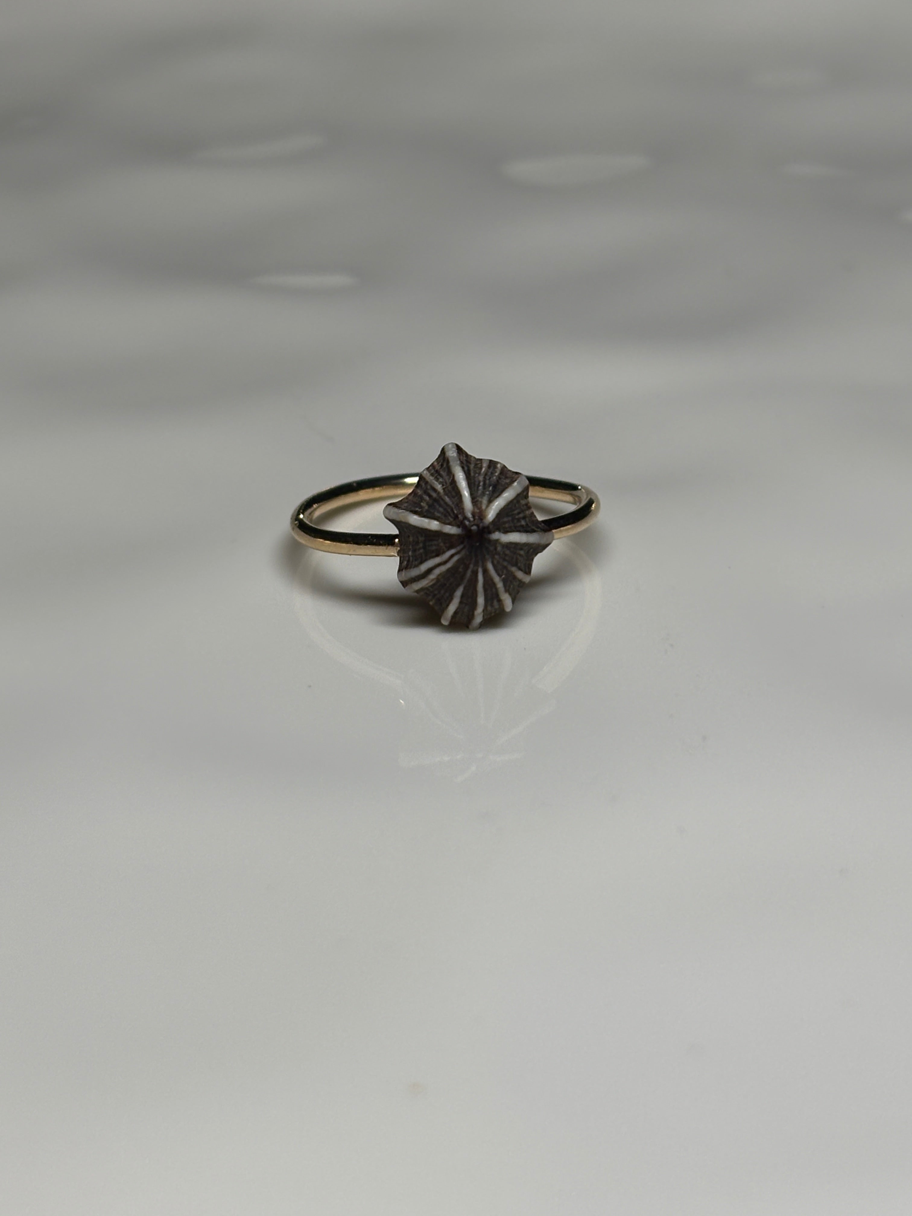 'Opihi 'awa ring